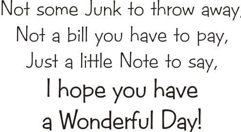 Not Some Junk